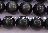 CEE505 15.5 inches 14mm round AAA grade green eagle eye jasper beads