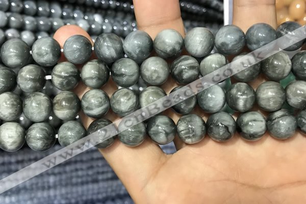 CEE517 15.5 inches 10mm round eagle eye jasper beads wholesale