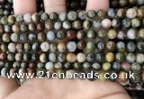 CEE524 15.5 inches 6mm round eagle eye jasper beads wholesale