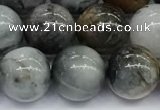 CEE537 15.5 inches 10mm round eagle eye jasper beads wholesale