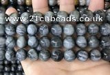 CEE544 15.5 inches 12mm round eagle eye jasper gemstone beads