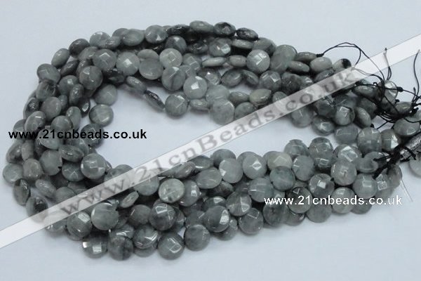 CEE58 15.5 inches 14mm faceted coin eagle eye jasper beads