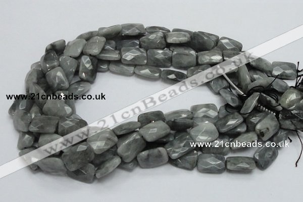 CEE59 15.5 inches 8*12mm faceted rectangle eagle eye jasper beads