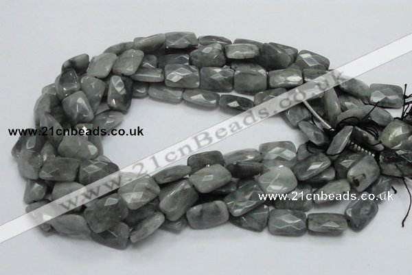 CEE60 15.5 inches 10*14mm faceted rectangle eagle eye jasper beads