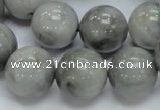 CEE61 15.5 inches 14mm round eagle eye jasper beads wholesale