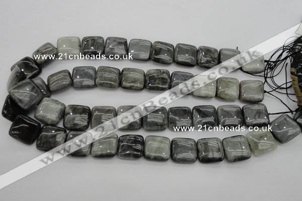 CEE78 15.5 inches 18*18mm square eagle eye jasper beads