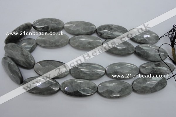 CEE85 15.5 inches 20*40mm faceted oval eagle eye jasper beads