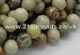 CFA03 15.5 inches 10mm round chrysanthemum agate gemstone beads