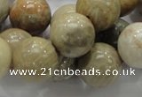 CFA04 15.5 inches 16mm round chrysanthemum agate gemstone beads