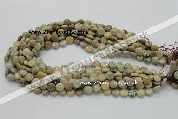 CFA06 15.5 inches 10mm flat round chrysanthemum agate gemstone beads