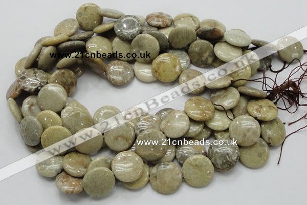 CFA08 15.5 inches 20mm flat round chrysanthemum agate gemstone beads