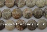 CFA228 15.5 inches 12mm flat round chrysanthemum agate beads