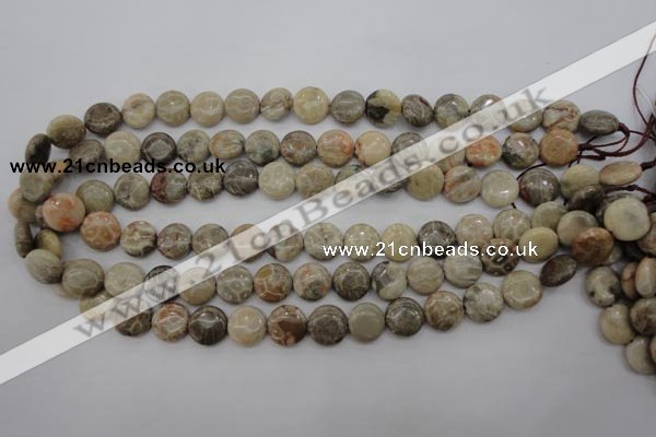 CFA228 15.5 inches 12mm flat round chrysanthemum agate beads