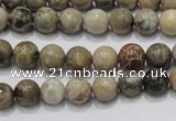 CFA26 15.5 inches 8mm round chrysanthemum agate gemstone beads