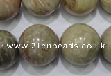 CFA27 15.5 inches 18mm round chrysanthemum agate gemstone beads