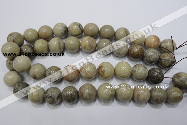 CFA27 15.5 inches 18mm round chrysanthemum agate gemstone beads