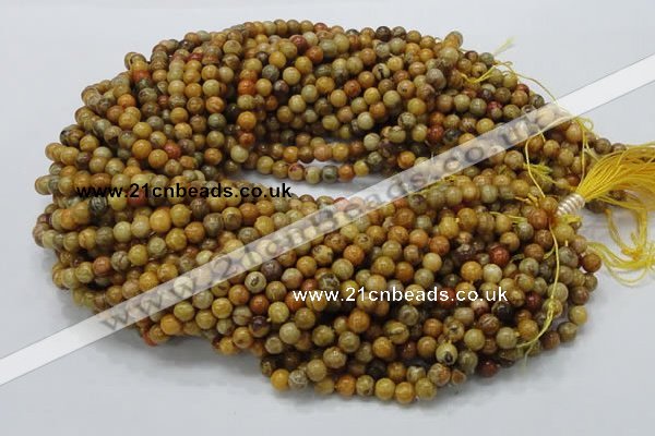 CFA31 15.5 inches 6mm round yellow chrysanthemum agate beads