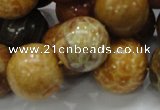 CFA34 15.5 inches 20mm round yellow chrysanthemum agate beads