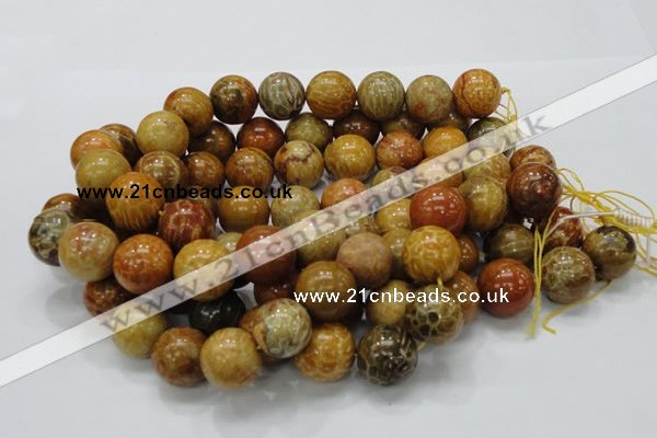 CFA34 15.5 inches 20mm round yellow chrysanthemum agate beads