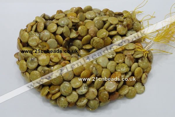 CFA42 15.5 inches 15mm flat round yellow chrysanthemum agate beads