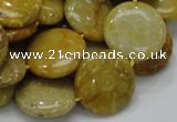 CFA43 15.5 inches 20mm flat round yellow chrysanthemum agate beads