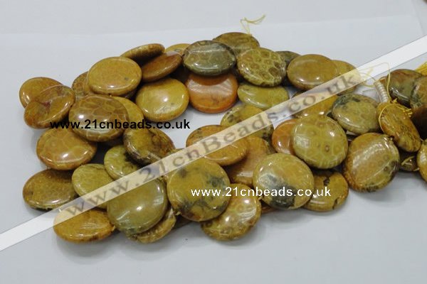 CFA45 15.5 inches 30mm flat round yellow chrysanthemum agate beads