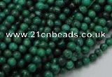 CFA65 15.5 inches 4mm round green chrysanthemum agate beads