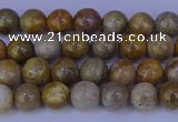 CFC200 15.5 inches 4mm round fossil coral beads wholesale