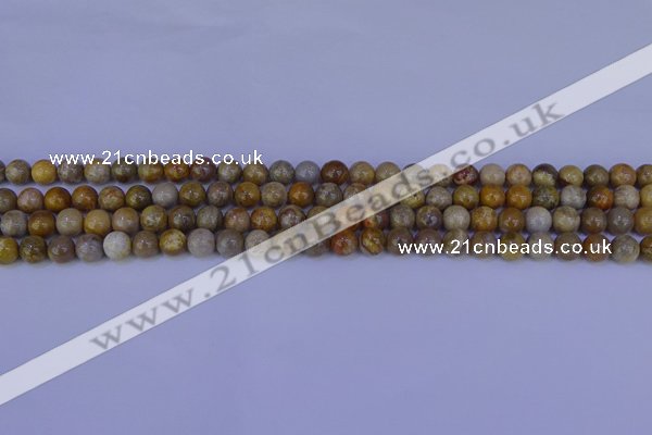 CFC200 15.5 inches 4mm round fossil coral beads wholesale