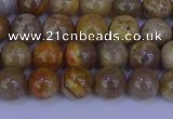 CFC201 15.5 inches 6mm round fossil coral beads wholesale