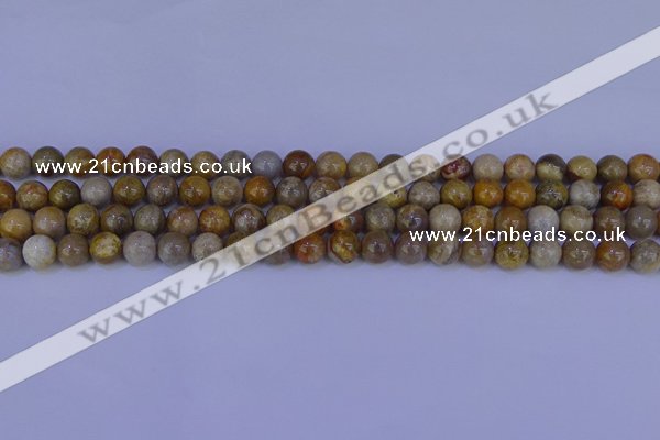CFC201 15.5 inches 6mm round fossil coral beads wholesale