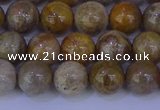 CFC202 15.5 inches 8mm round fossil coral beads wholesale