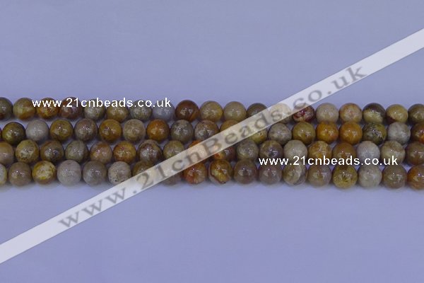 CFC202 15.5 inches 8mm round fossil coral beads wholesale