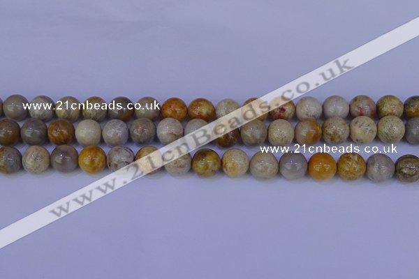 CFC203 15.5 inches 10mm round fossil coral beads wholesale