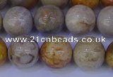 CFC204 15.5 inches 12mm round fossil coral beads wholesale