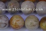 CFC205 15.5 inches 14mm round fossil coral beads wholesale