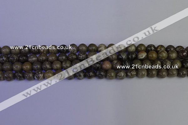 CFC212 15.5 inches 8mm round grey fossil coral beads wholesale