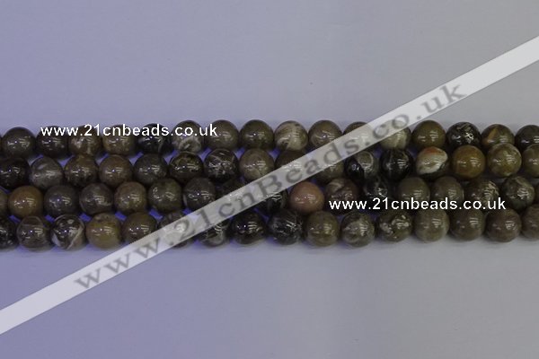 CFC214 15.5 inches 12mm round grey fossil coral beads wholesale