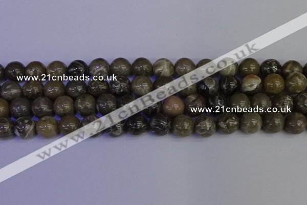 CFC215 15.5 inches 14mm round grey fossil coral beads wholesale