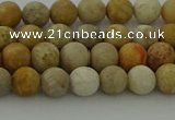 CFC221 15.5 inches 6mm round matte fossil coral beads wholesale