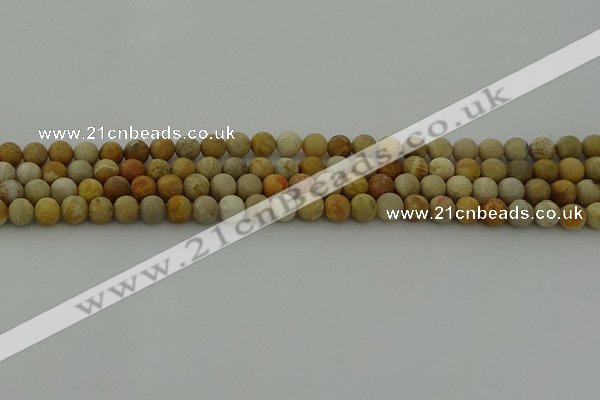 CFC221 15.5 inches 6mm round matte fossil coral beads wholesale