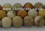 CFC222 15.5 inches 8mm round matte fossil coral beads wholesale