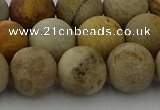 CFC224 15.5 inches 12mm round matte fossil coral beads wholesale