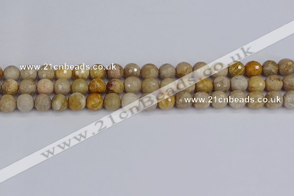 CFC230 15.5 inches 8mm faceted round fossil coral beads