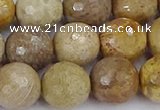 CFC232 15.5 inches 12mm faceted round fossil coral beads