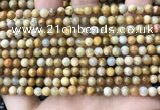 CFC320 15.5 inches 4mm round fossil coral beads wholesale