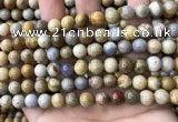 CFC322 15.5 inches 8mm round fossil coral beads wholesale