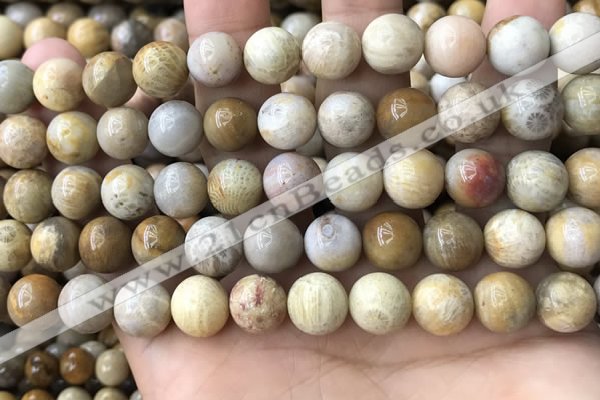 CFC323 15.5 inches 10mm round fossil coral beads wholesale