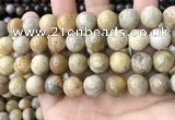 CFC325 15.5 inches 14mm round fossil coral beads wholesale