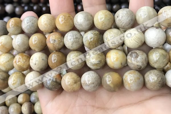 CFC325 15.5 inches 14mm round fossil coral beads wholesale